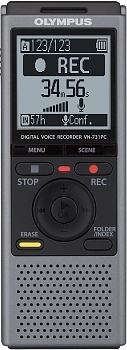 Диктофон Olympus VN-731PC 2Gb Grey 