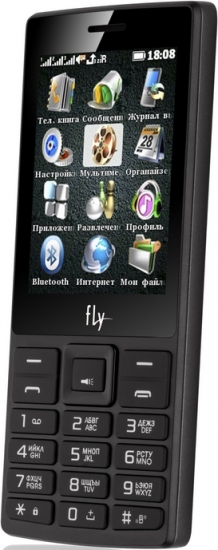 Мобильный телефон Fly TS112 Black 