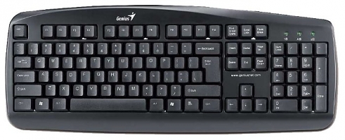 Клавиатура Genius KB-110 USB, black, color box 