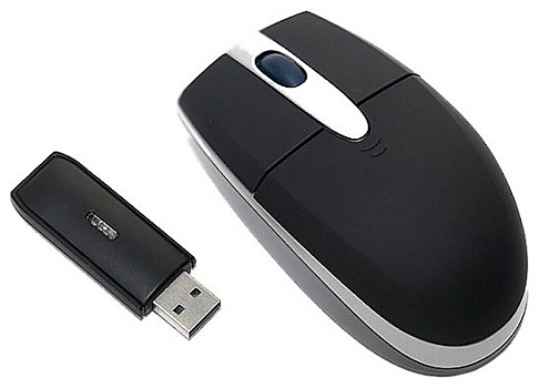 Мышь Chicony MR-0616W-SB USB black 