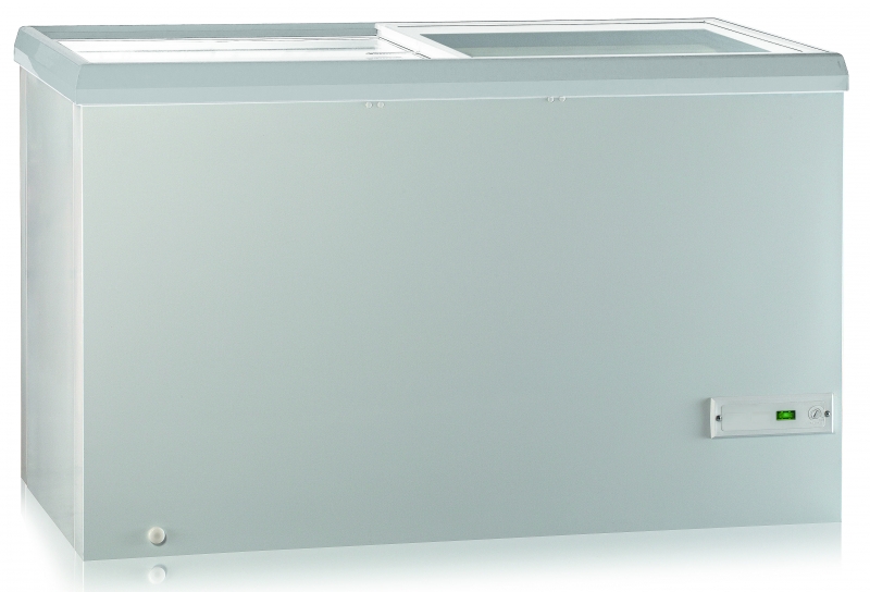 Морозильник Pozis FH 250 