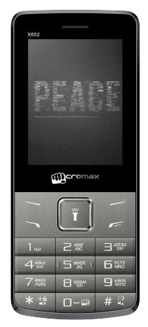 Мобильный телефон Micromax X602 Grey 