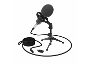 Микрофон Ritmix rdm-160 Black 