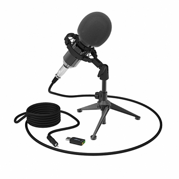 Микрофон Ritmix rdm-160 Black 