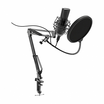 Микрофон Ritmix rdm-180 Black 