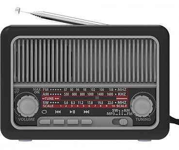 Радиоприемник Ritmix RPR-035 Silver 