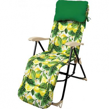 Кресло Ника HAUSHALT ННК5/L принт с лимонами, 100 кг 